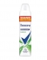 Desodorante Antitranspirante Rexona Bamboo Aerosol 200ml protecao frescor
